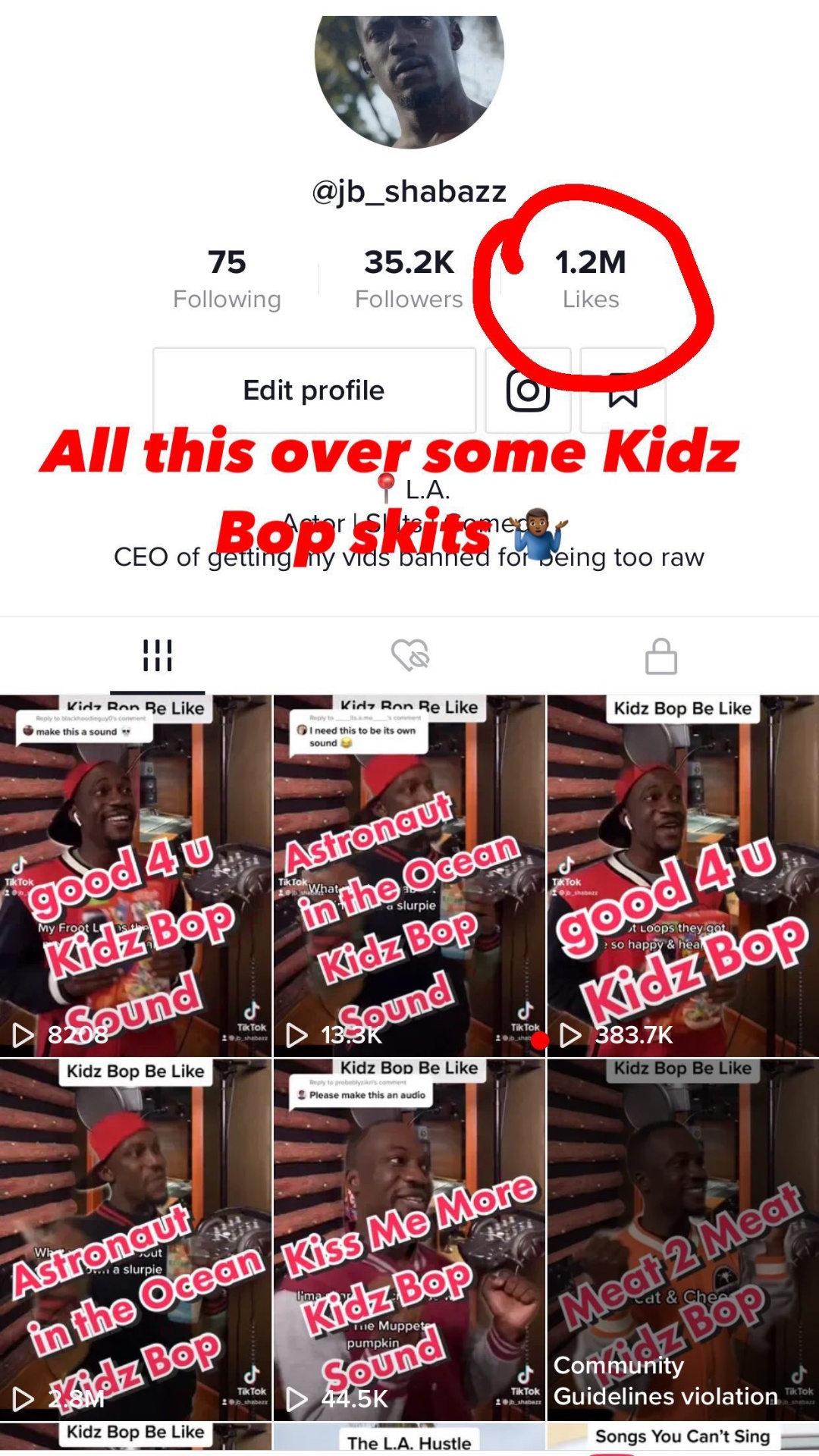 TikTok profile screenshot showing 1.2M likes